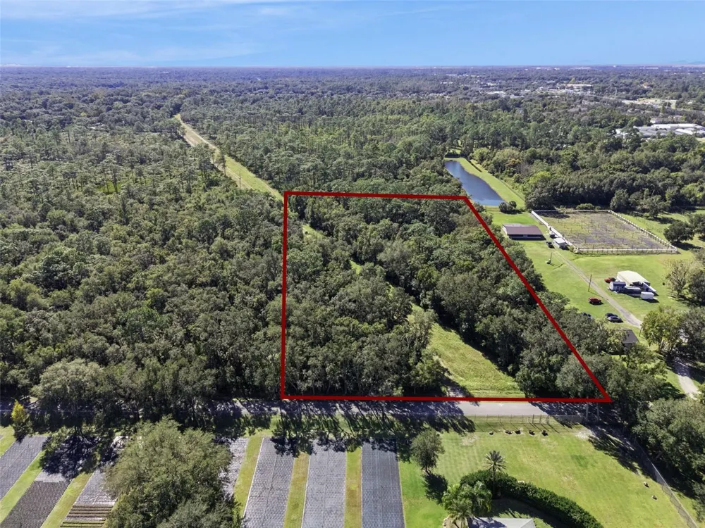 FAYE STREET Apopka, FL 32712