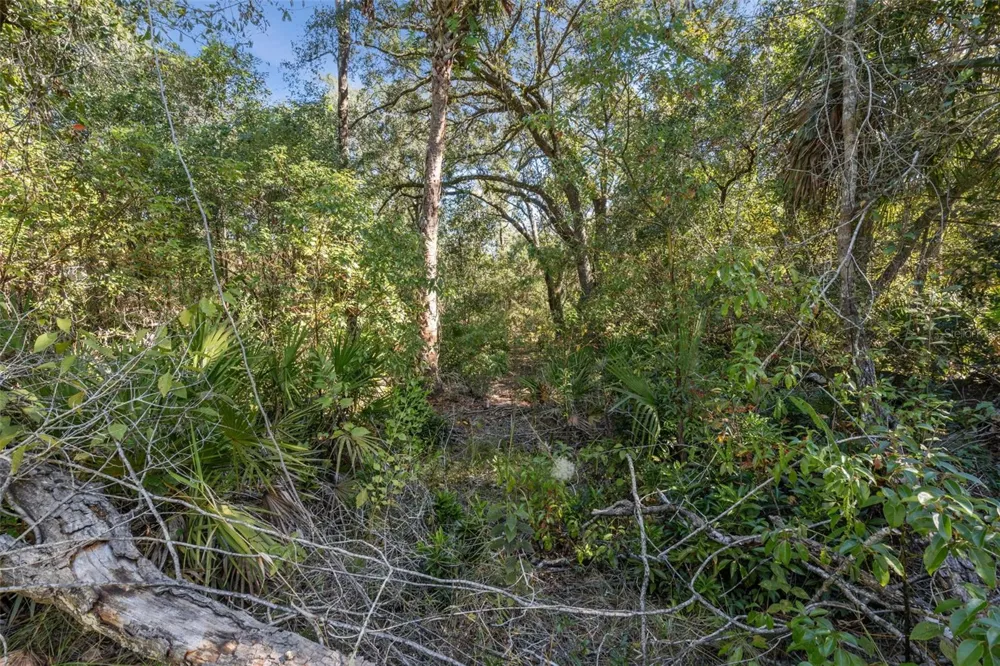 FAYE STREET Apopka, FL 32712