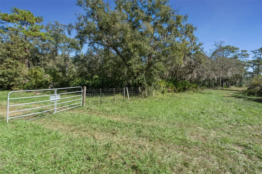 FAYE STREET Apopka, FL 32712