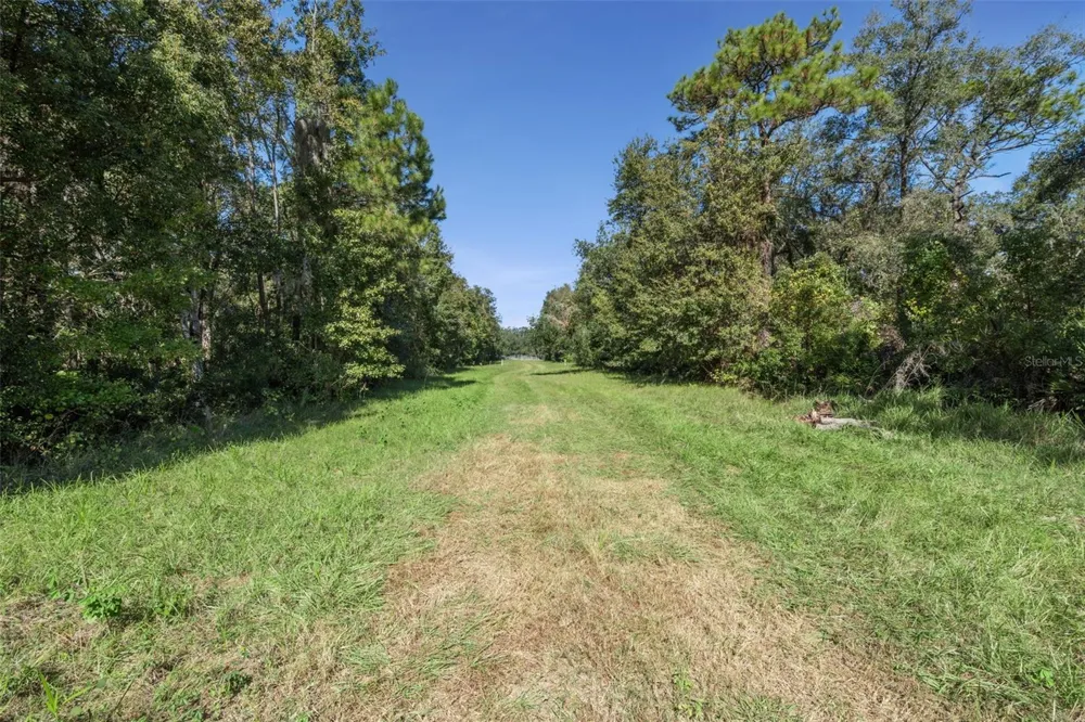 FAYE STREET Apopka, FL 32712