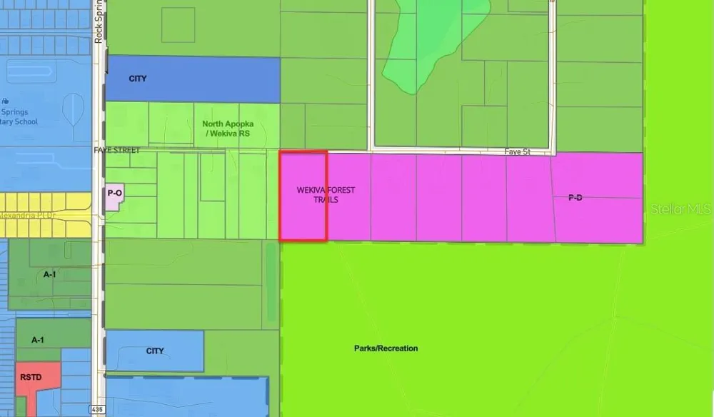 FAYE STREET Apopka, FL 32712