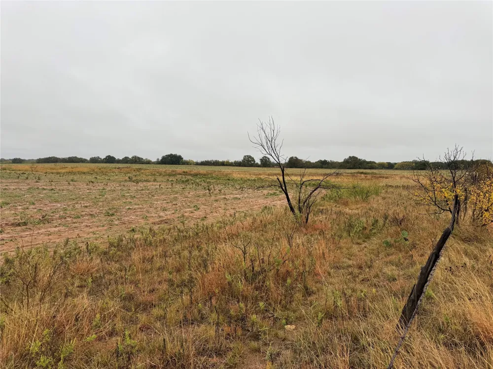 FM 1178 Clyde, TX 79510
