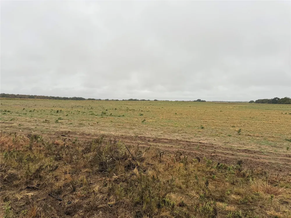 FM 1178 Clyde, TX 79510
