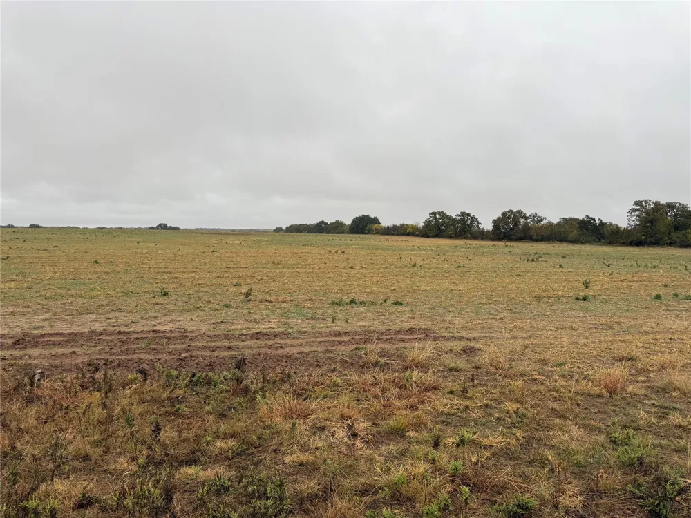 FM 1178 Clyde, TX 79510