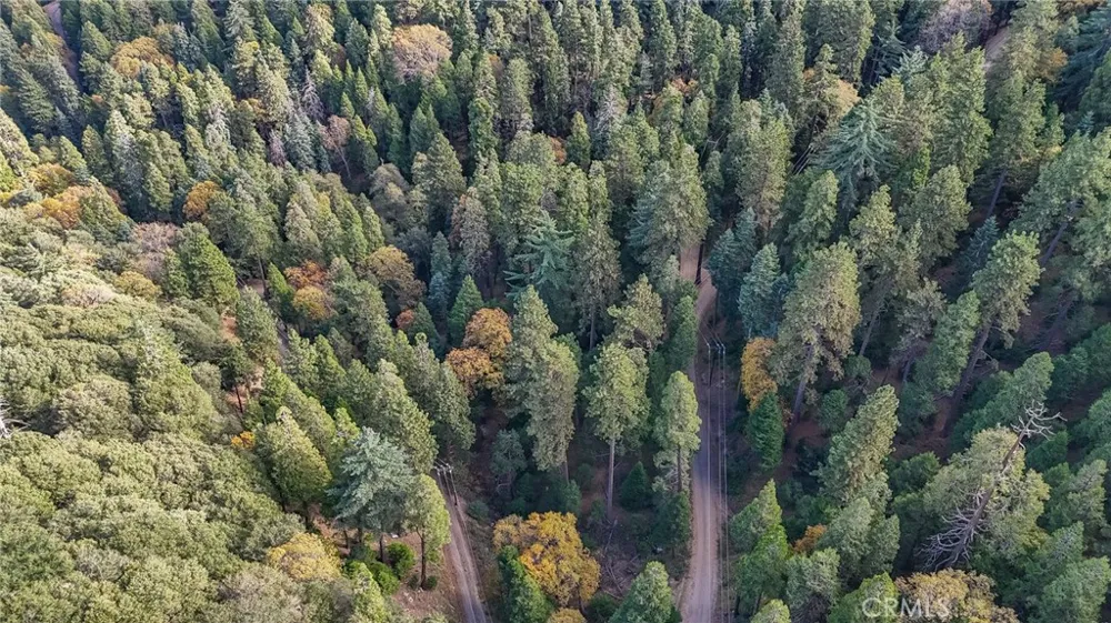 Deer Run Road Cedarpines Park, CA 92322