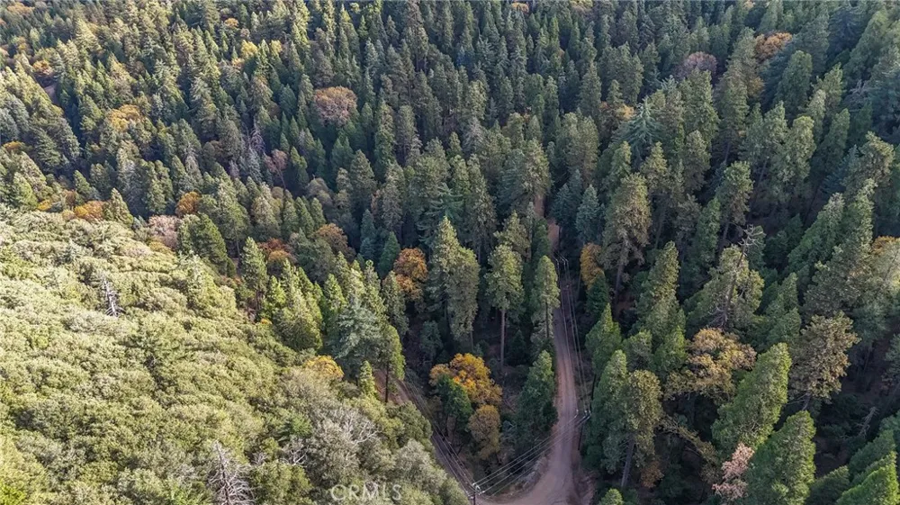 Deer Run Road Cedarpines Park, CA 92322