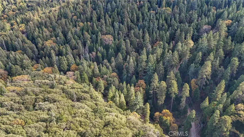 Deer Run Road Cedarpines Park, CA 92322