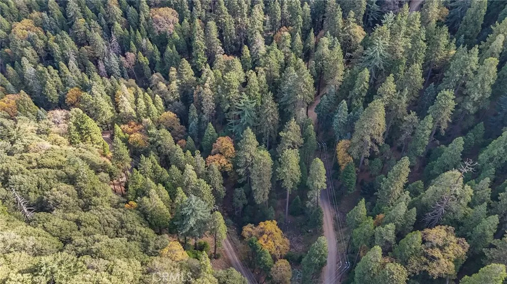 Deer Run Road Cedarpines Park, CA 92322