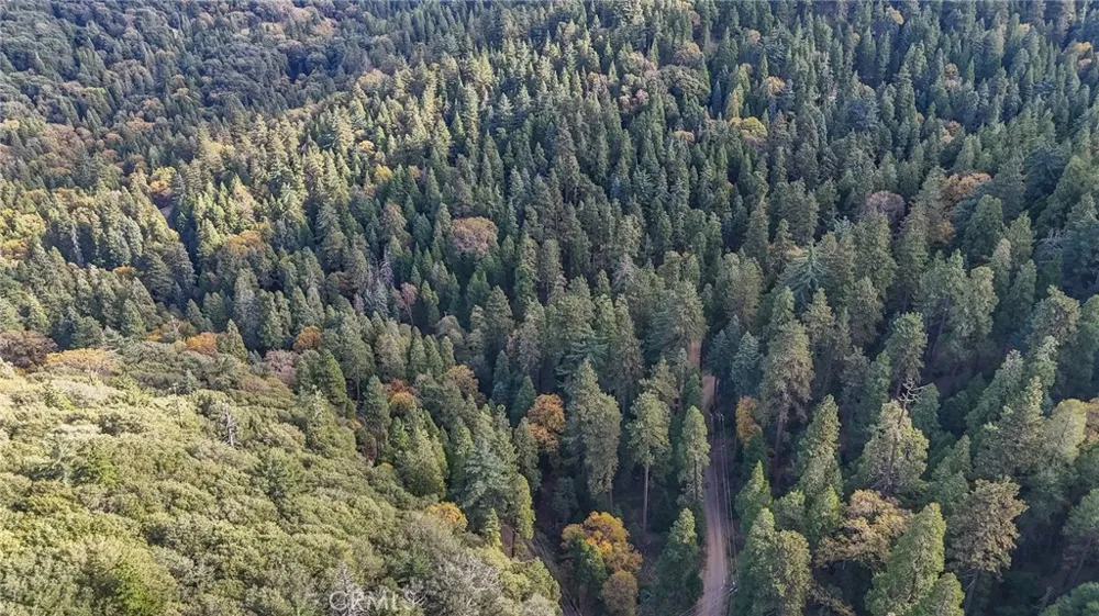 Deer Run Road Cedarpines Park, CA 92322