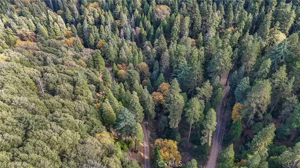 Deer Run Road Cedarpines Park, CA 92322