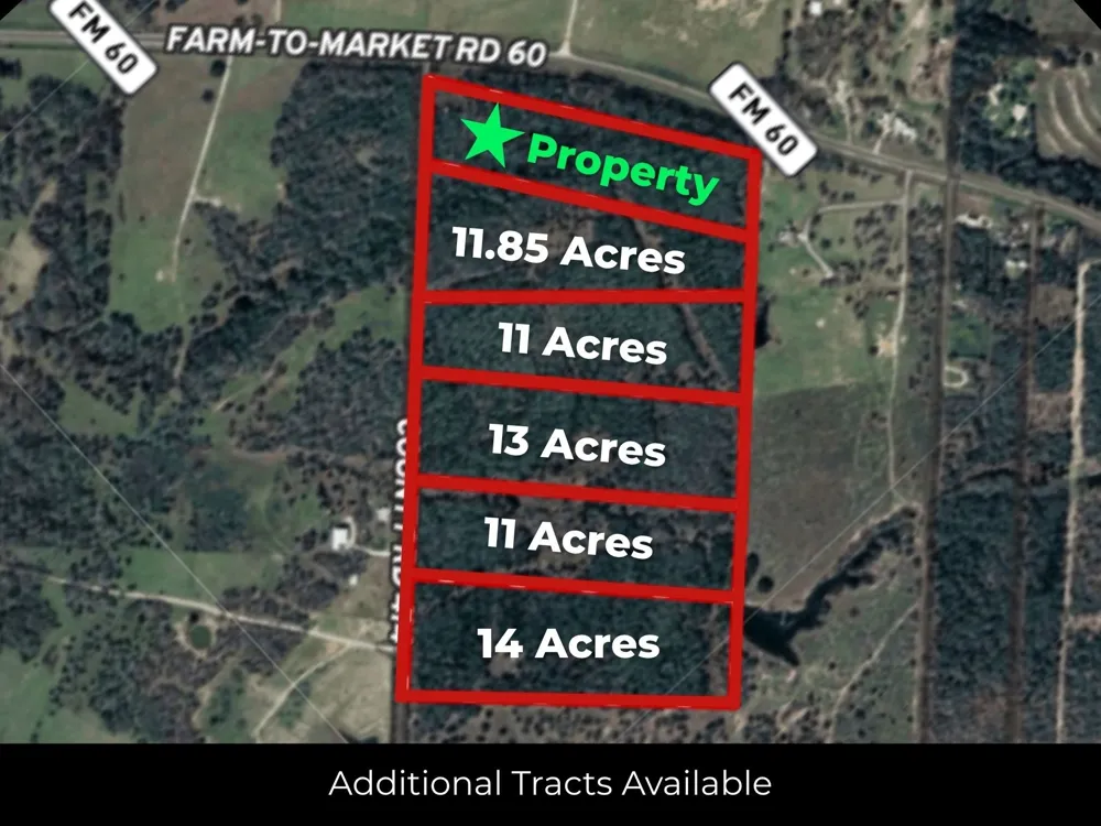12047 County Road 414 Somerville, TX 77879