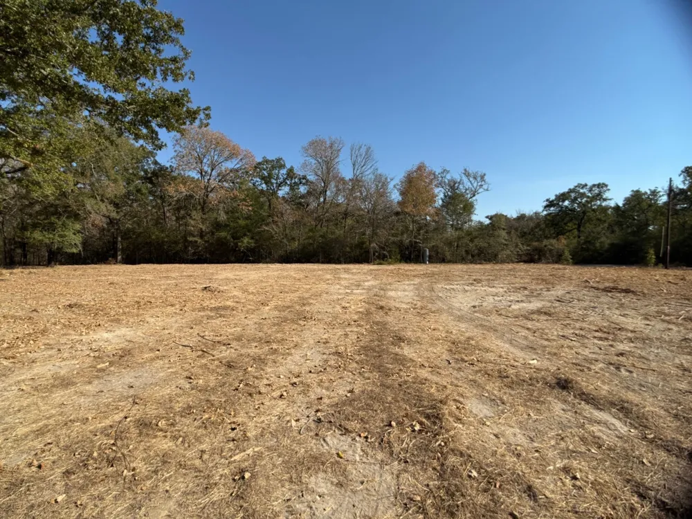 12047 County Road 414 Somerville, TX 77879