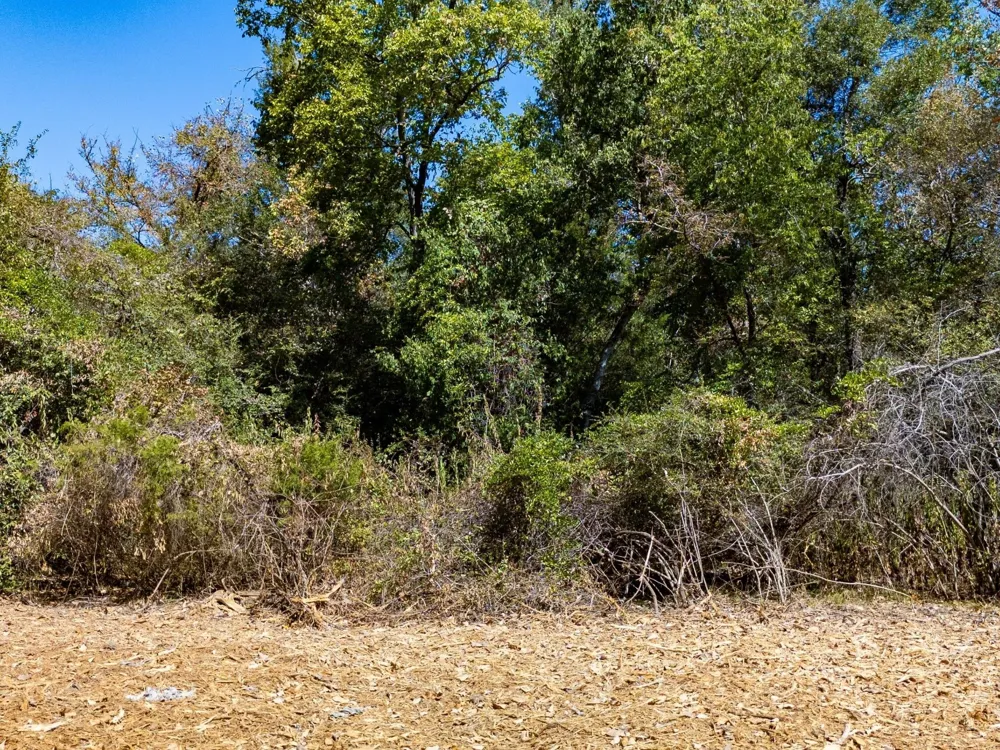 12047 County Road 414 Somerville, TX 77879