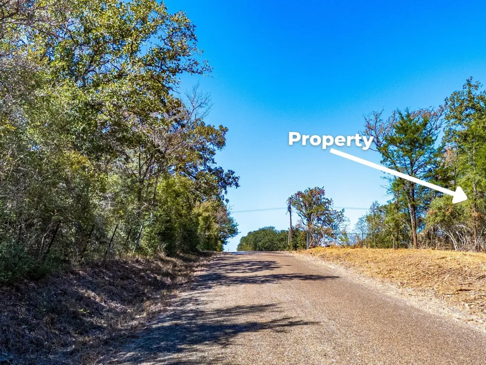 12047 County Road 414 Somerville, TX 77879