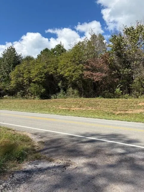 Us 127 Pikeville, TN 37367