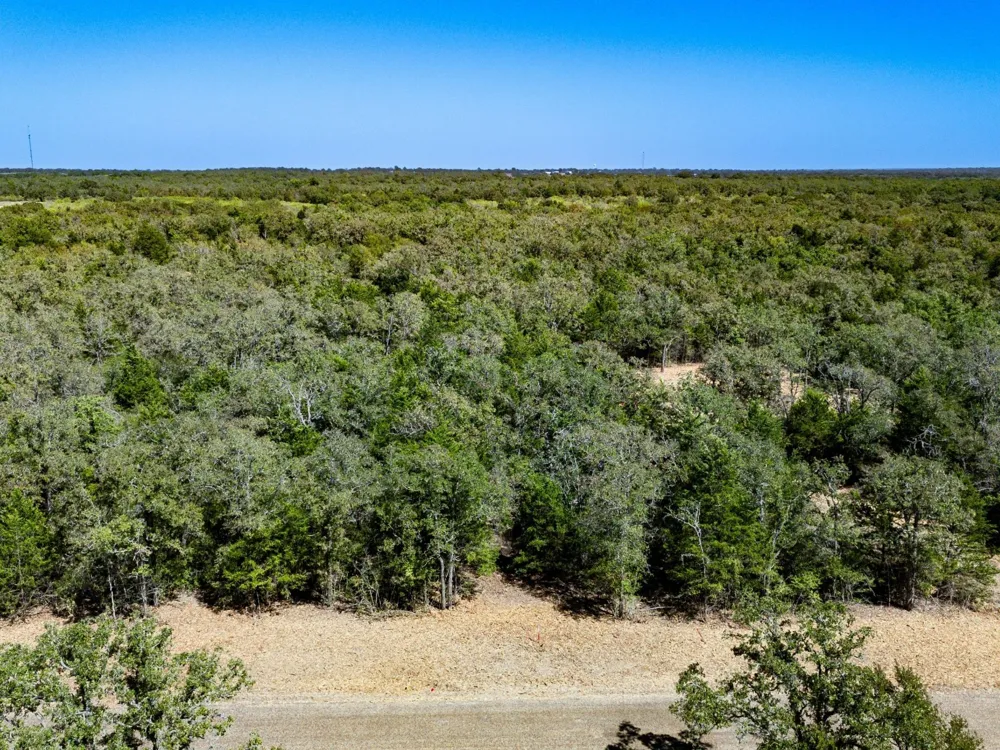 12345 Country Road 414 Somerville, TX 77879