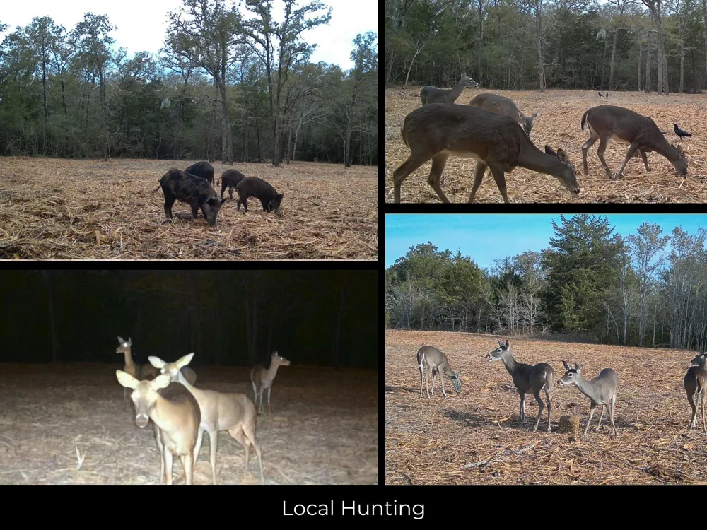 12345 Country Road 414 Somerville, TX 77879