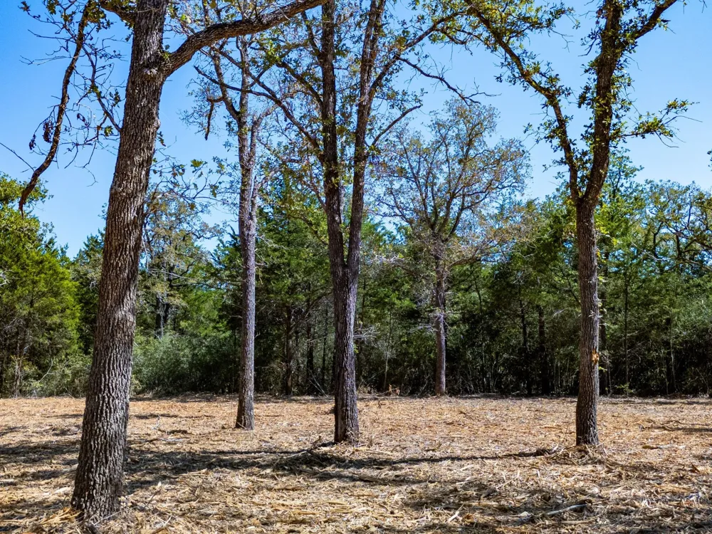 12345 Country Road 414 Somerville, TX 77879
