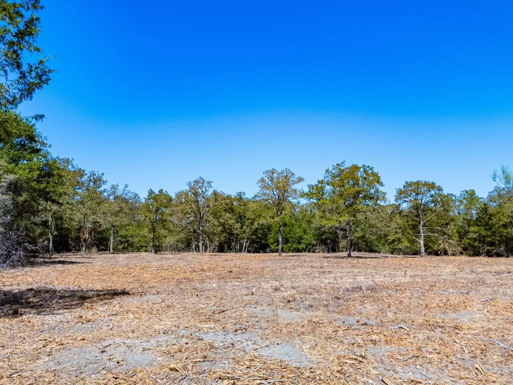 12345 Country Road 414 Somerville, TX 77879