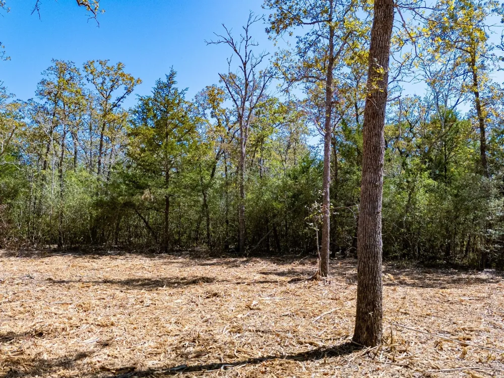 12345 Country Road 414 Somerville, TX 77879