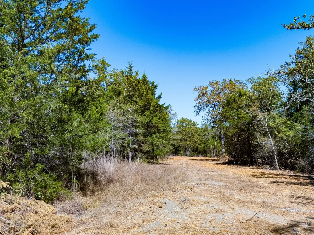 12345 Country Road 414 Somerville, TX 77879