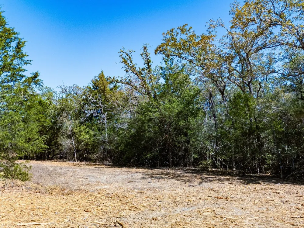12345 Country Road 414 Somerville, TX 77879