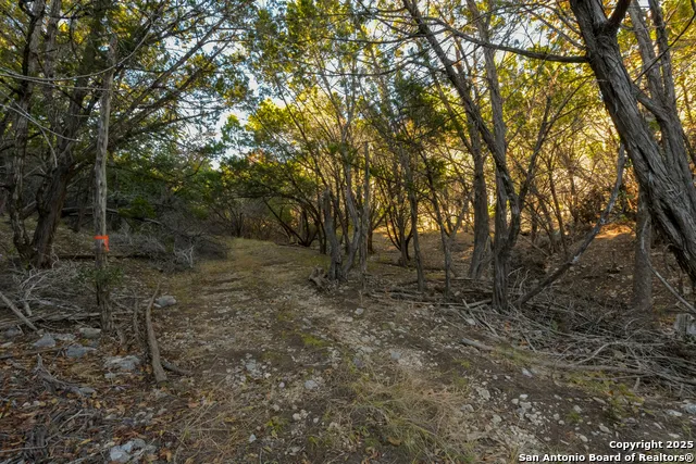 929 Upper Loma Verde Rd LT 95A 10 Acres Medina, TX 78055