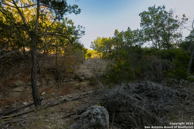 929 Upper Loma Verde Rd LT 95A 10 Acres Medina, TX 78055