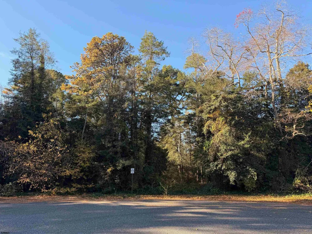 24 E Timber Dr Marmora, NJ 08223