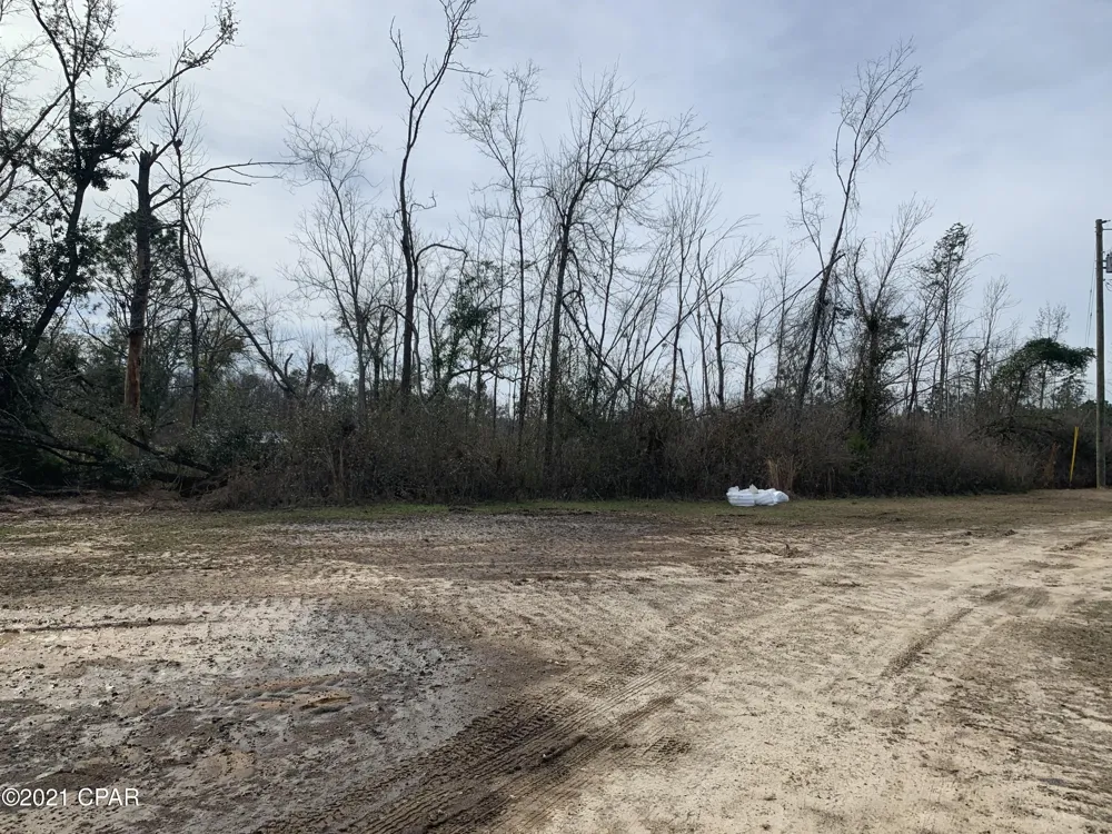 Hwy 90 Grand Ridge, FL 32442