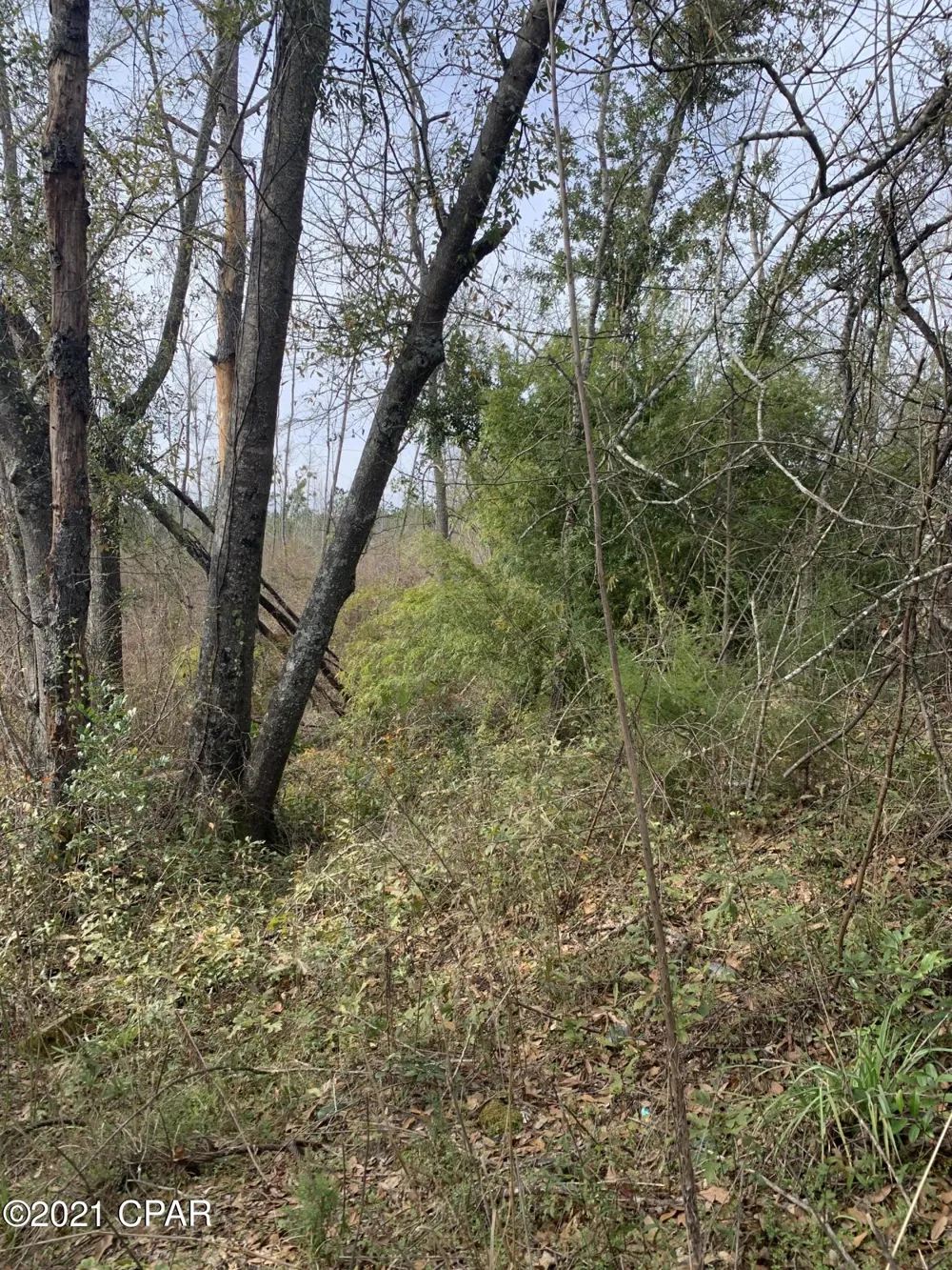 Hwy 90 Grand Ridge, FL 32442