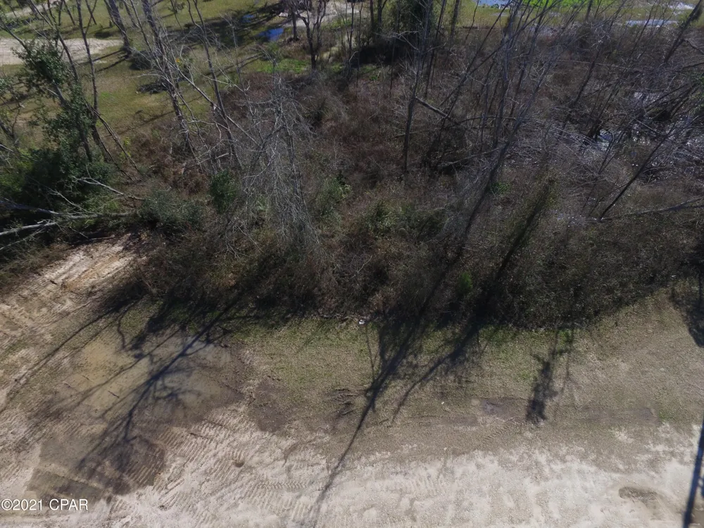 Hwy 90 Grand Ridge, FL 32442
