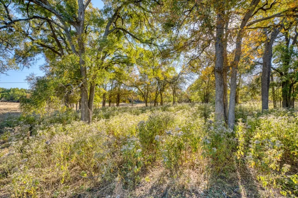 20949 Firefly Road Salado, TX 76527