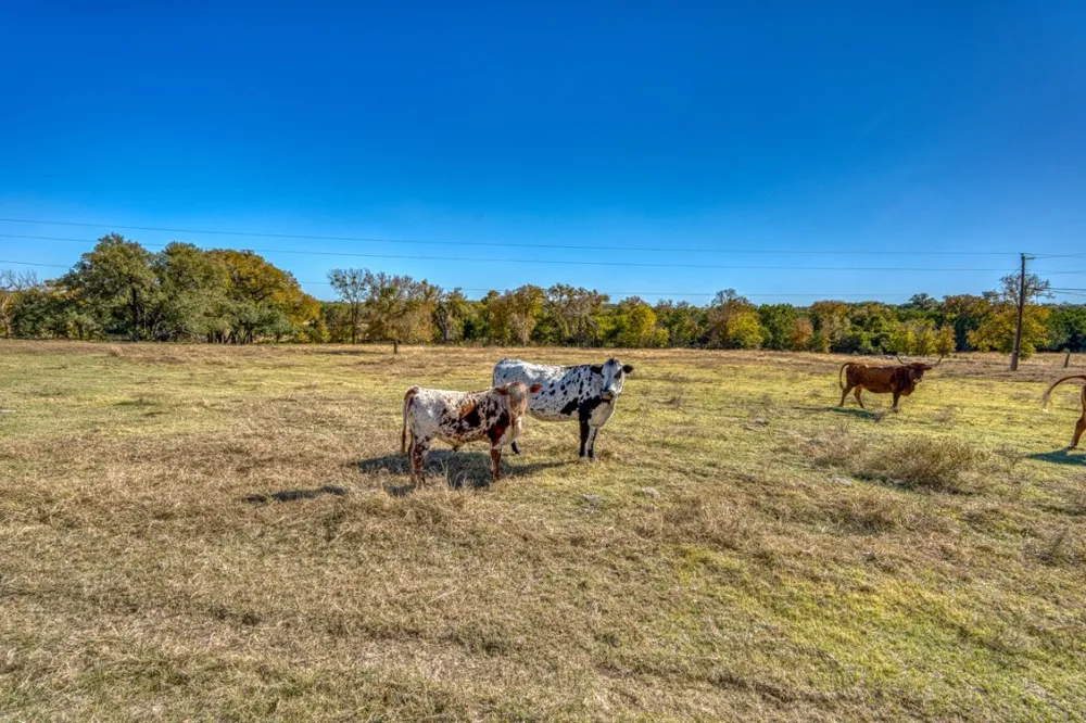 20949 Firefly Road Salado, TX 76527