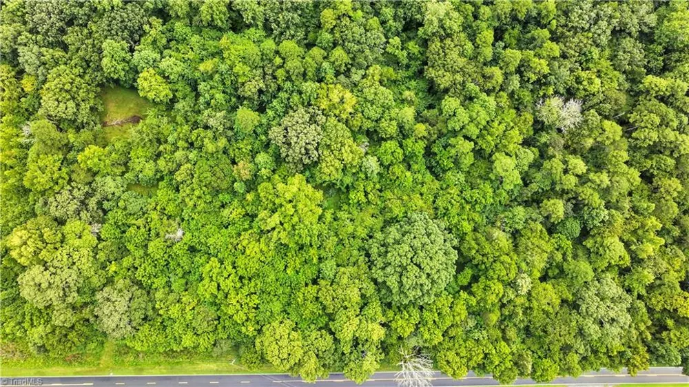 5424 Wild Turkey Road Whitsett, NC 27377