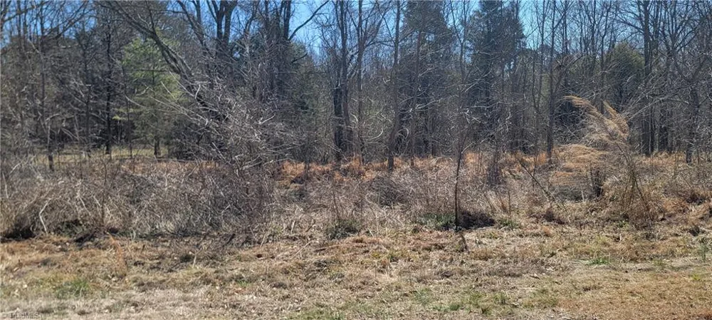 5424 Wild Turkey Road Whitsett, NC 27377