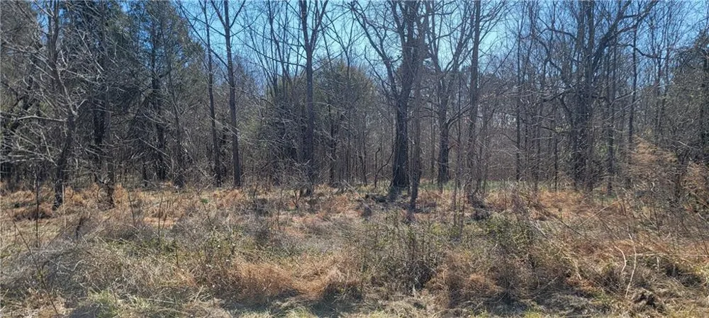 5424 Wild Turkey Road Whitsett, NC 27377