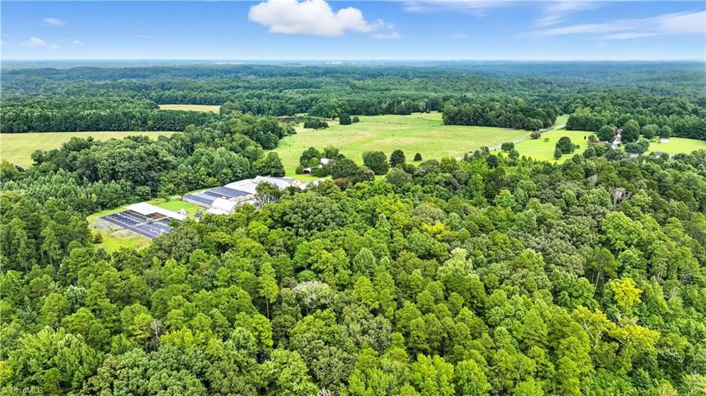 5424 Wild Turkey Road Whitsett, NC 27377