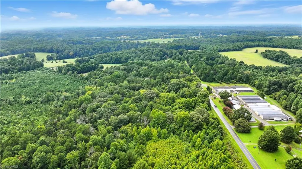 5424 Wild Turkey Road Whitsett, NC 27377