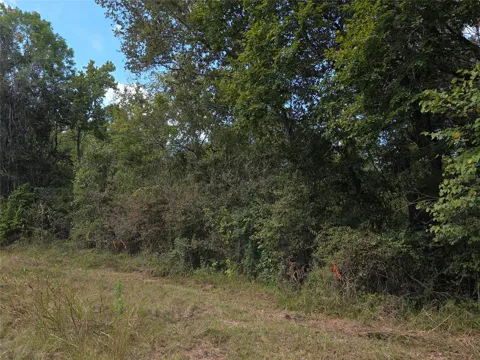 Hidden Cove Drive
