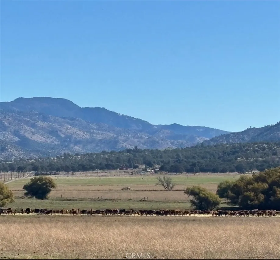 18266 Caliente Creek Road Caliente, CA 93518