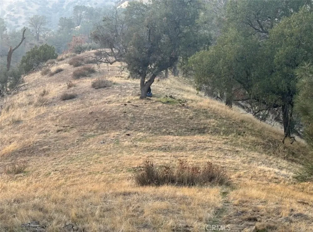 18266 Caliente Creek Road Caliente, CA 93518