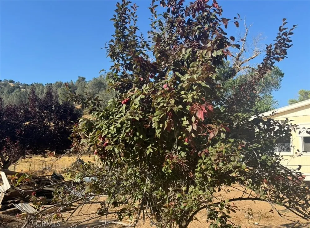 18266 Caliente Creek Road Caliente, CA 93518