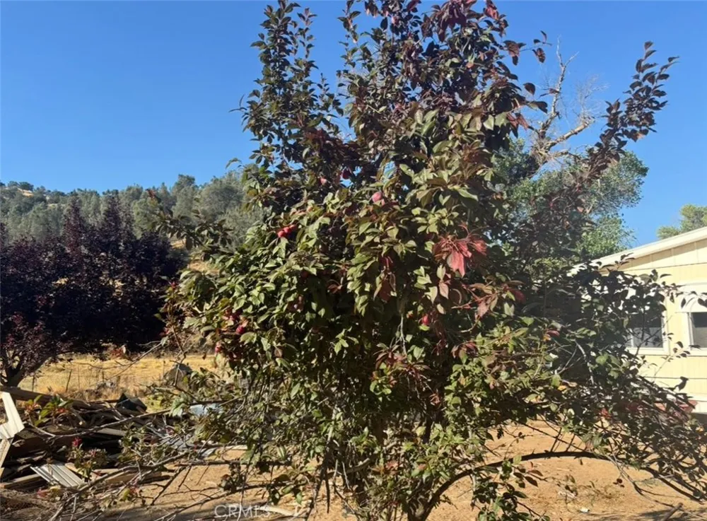 18266 Caliente Creek Road Caliente, CA 93518