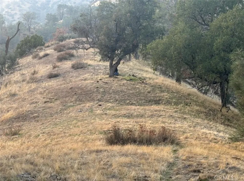 18266 Caliente Creek Road Caliente, CA 93518