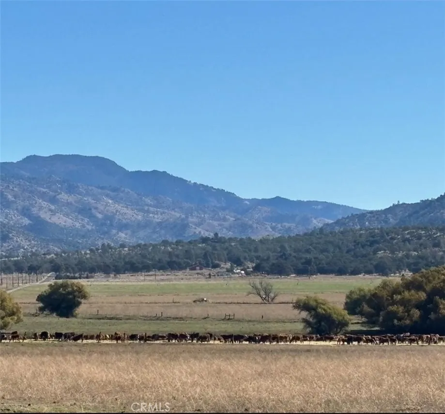 18266 Caliente Creek Road Caliente, CA 93518