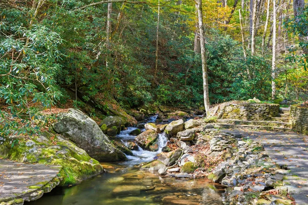 TATE CITY RD Hayesville, NC 28904