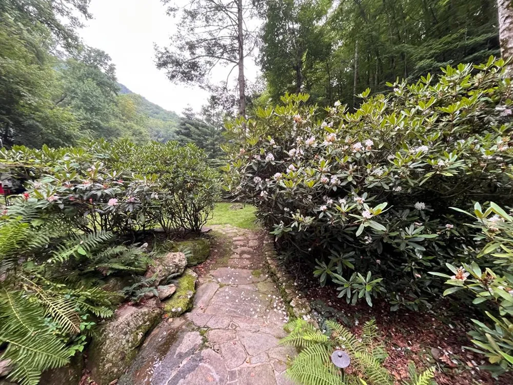 TATE CITY RD Hayesville, NC 28904