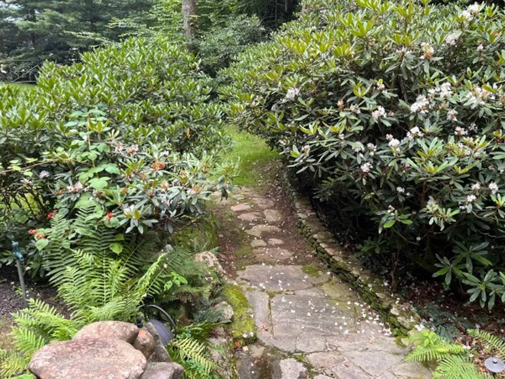 TATE CITY RD Hayesville, NC 28904