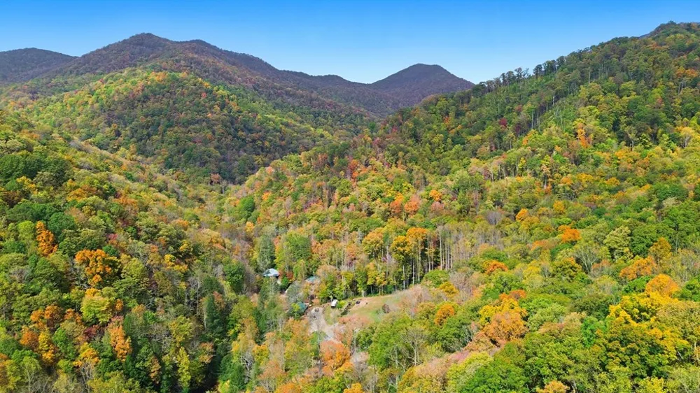 TATE CITY RD Hayesville, NC 28904